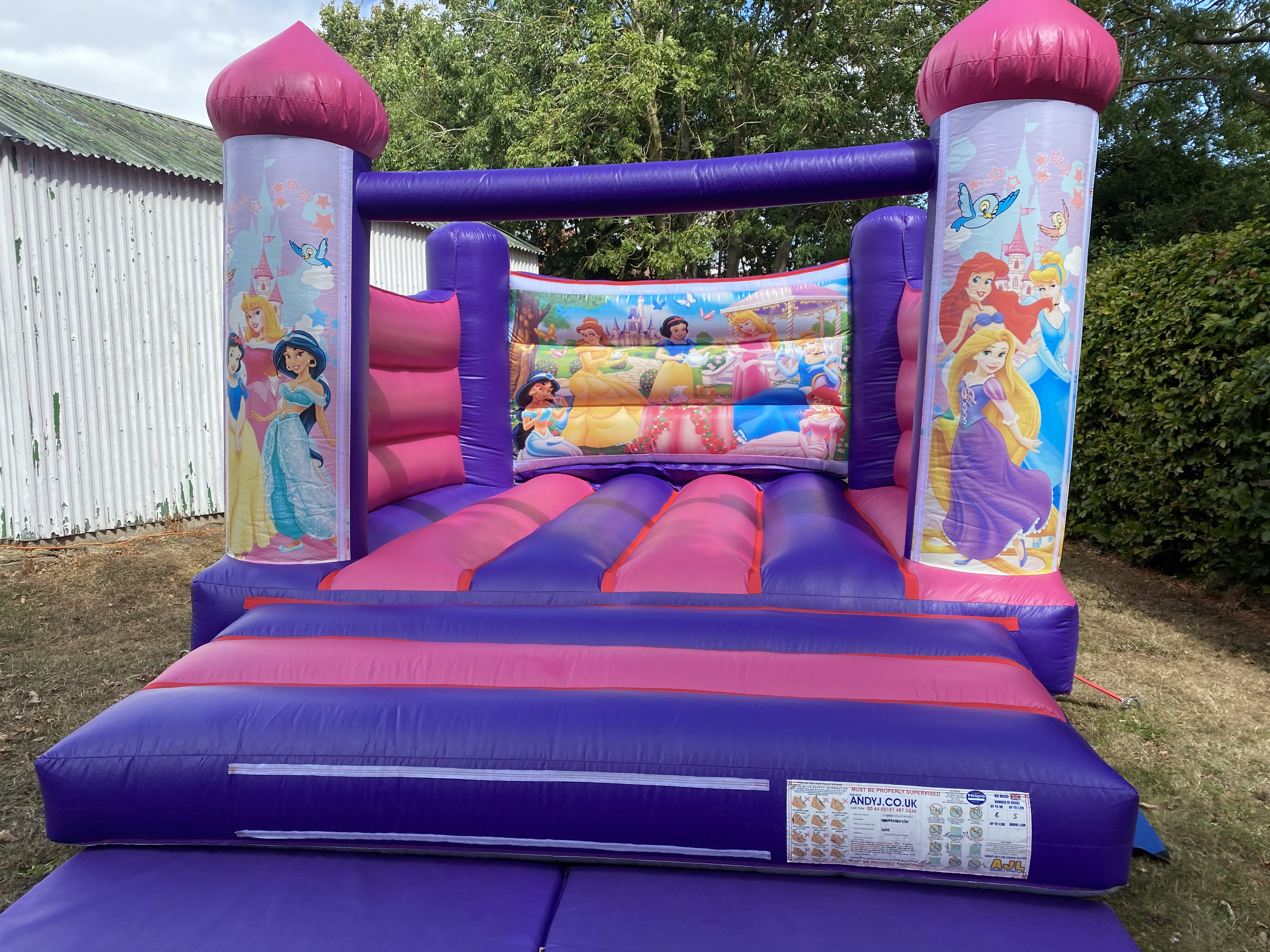 Princess Bouncy Castle Hire